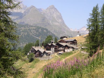 frazione Crest